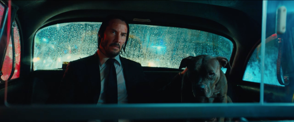 Keanu Reeves is forced to leave his dog in John Wick: Chapter 3 -  Parabellum clip